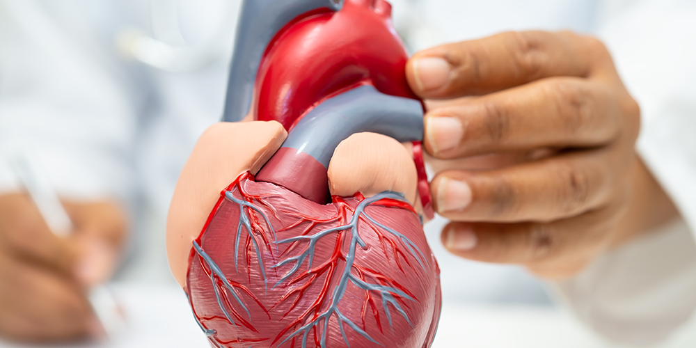 5 best exercise to strengthen your heart