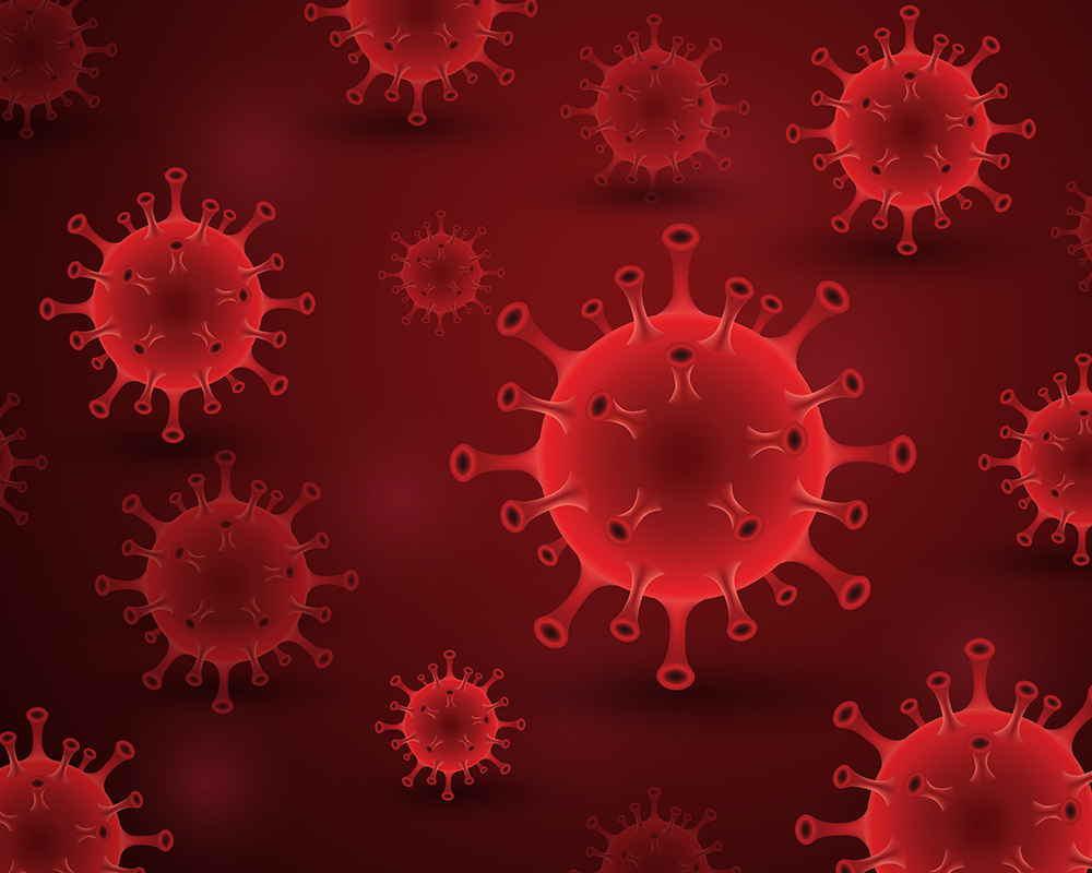 Understanding the HMPV Virus